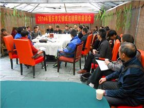 李文鎖城 李文鎖城